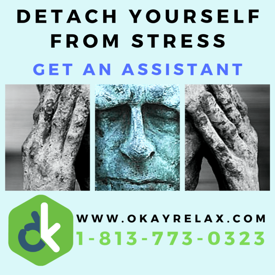 Promotional banner: get a virtual personal assistant. Call 1-813-773-0323.